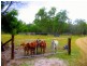 Captain Creek QLD 4677