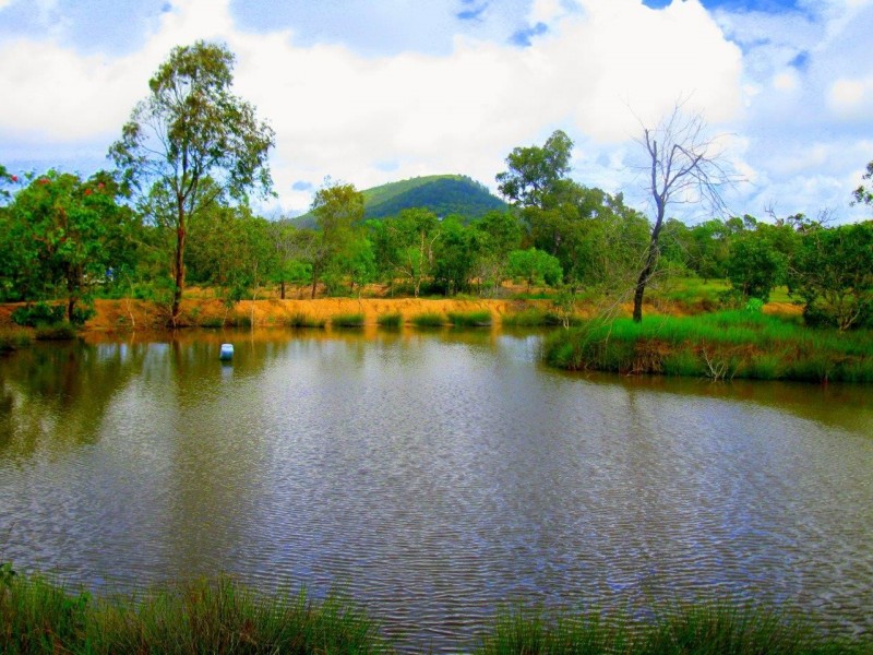 Captain Creek QLD 4677