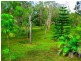 Captain Creek QLD 4677