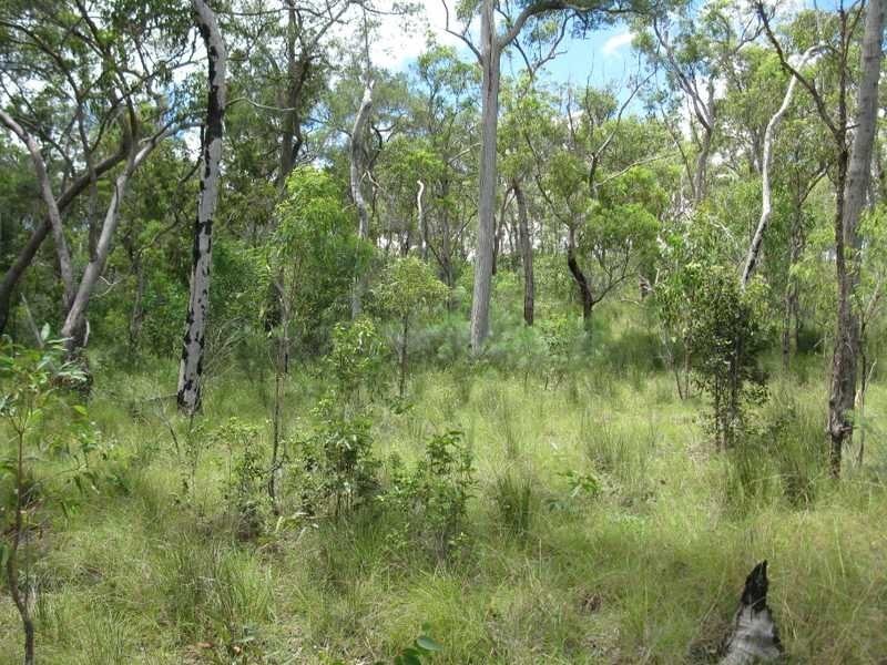 Lot 213 Davies Road, Captain Creek QLD 4677