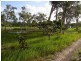 Lot 290, 114 Jakeman Drive, Agnes Water QLD 4677
