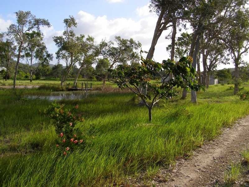 Lot 290, 114 Jakeman Drive, Agnes Water QLD 4677