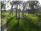 Lot 290, 114 Jakeman Drive, Agnes Water QLD 4677