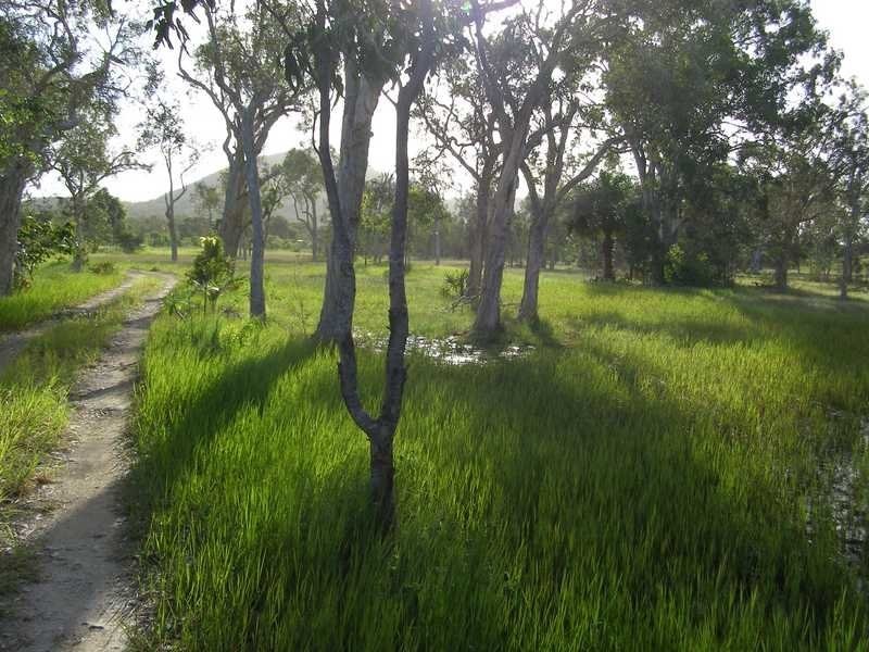 Lot 290, 114 Jakeman Drive, Agnes Water QLD 4677