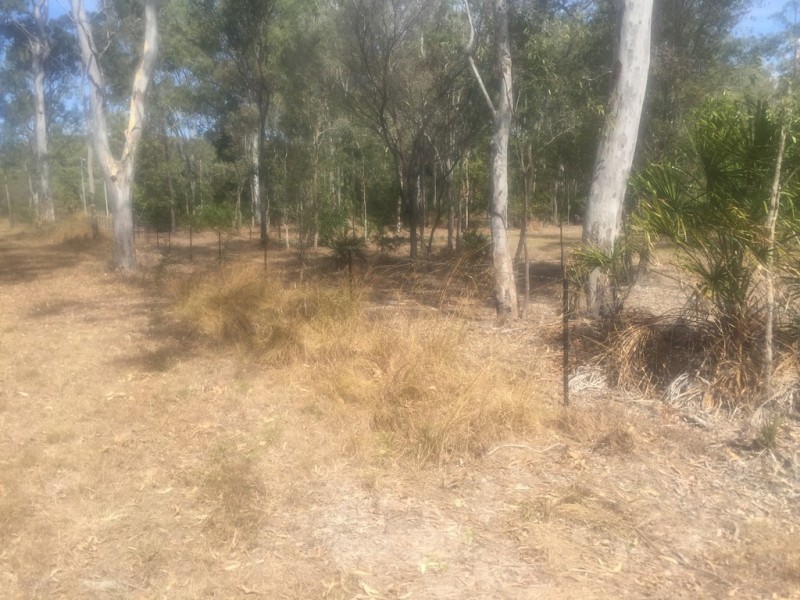 Agnes Water QLD 4677