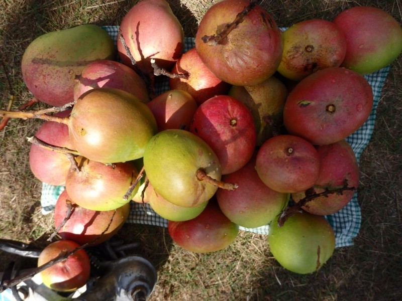 lot 126 Masthead Drive, Agnes Water QLD 4677