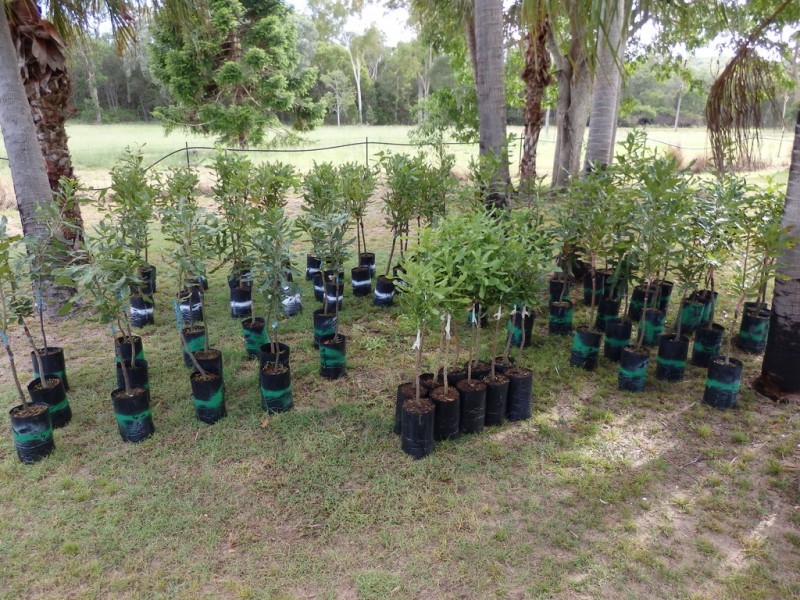 lot 126 Masthead Drive, Agnes Water QLD 4677