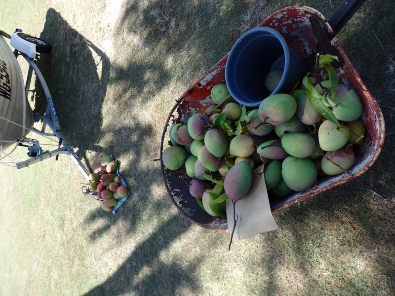 lot 126 Masthead Drive, Agnes Water QLD 4677