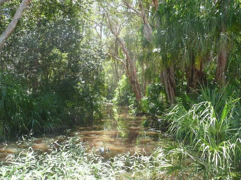 8 Arthurs Park, Agnes Water QLD 4677