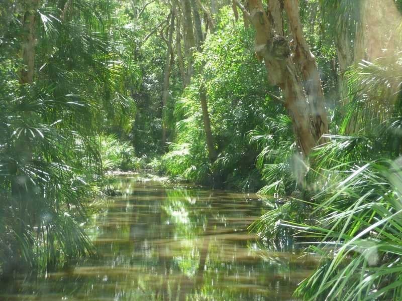 8 Arthurs Park, Agnes Water QLD 4677