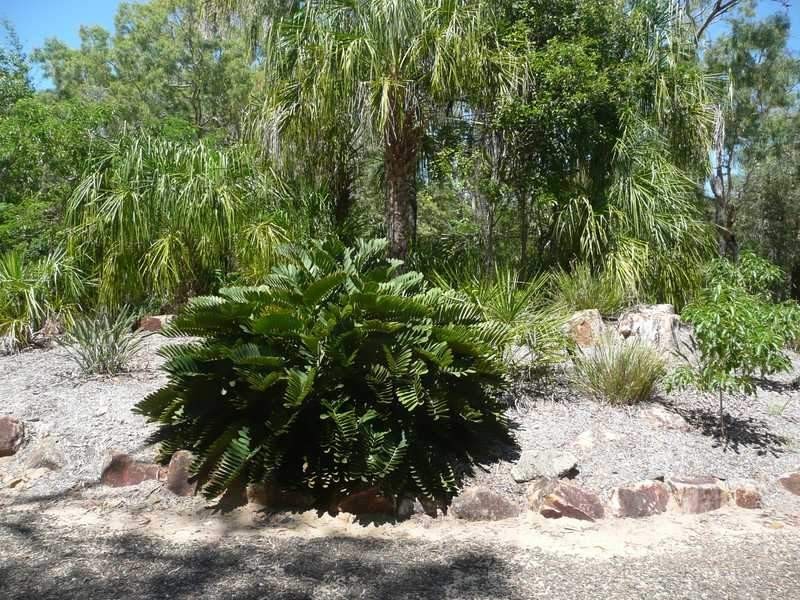 8 Arthurs Park, Agnes Water QLD 4677