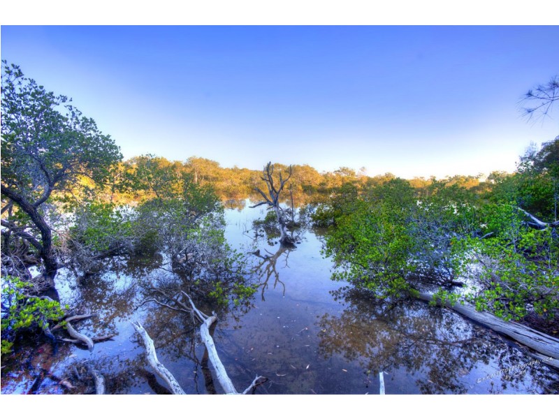 125 Masthead Drive, Agnes Water QLD 4677