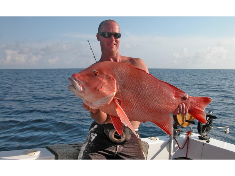 13/4 Ocean Beach Drive, Agnes Water QLD 4677