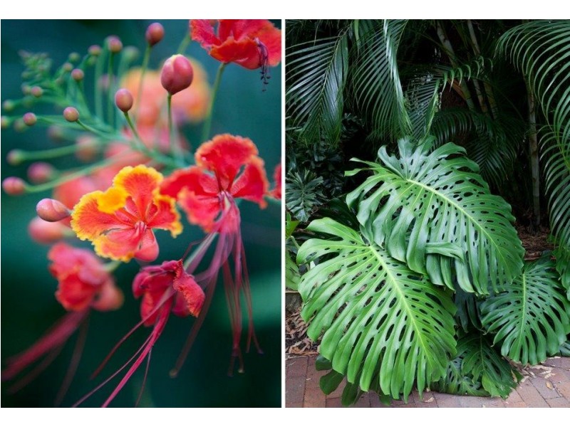 428 Lady Elliot Drive, Round Hill QLD 4677