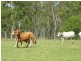 1000 Gorge Road, Taunton QLD 4674