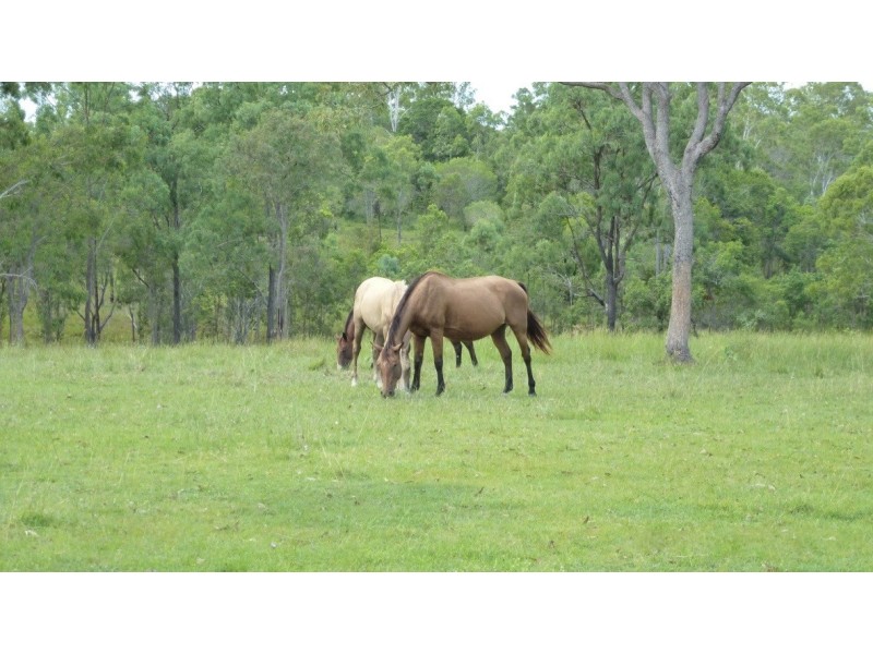 1000 Gorge Road, Taunton QLD 4674