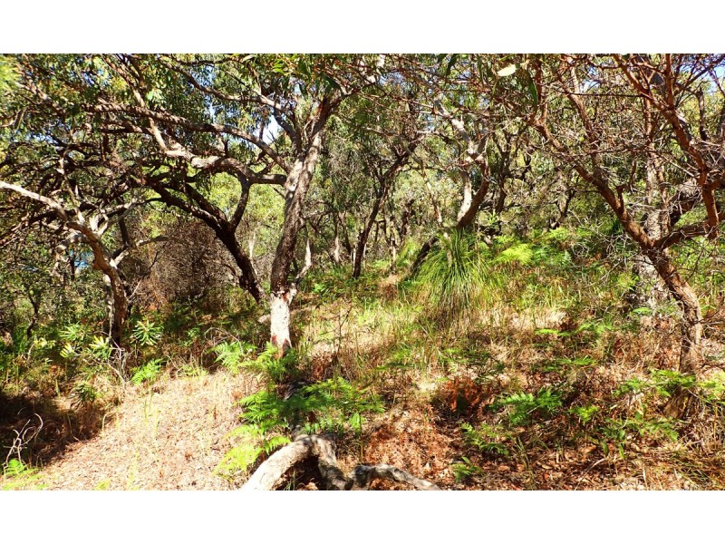 Agnes Water QLD 4677