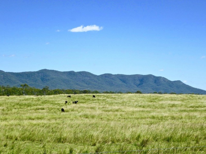 1078 Taunton Road, Taunton QLD 4674