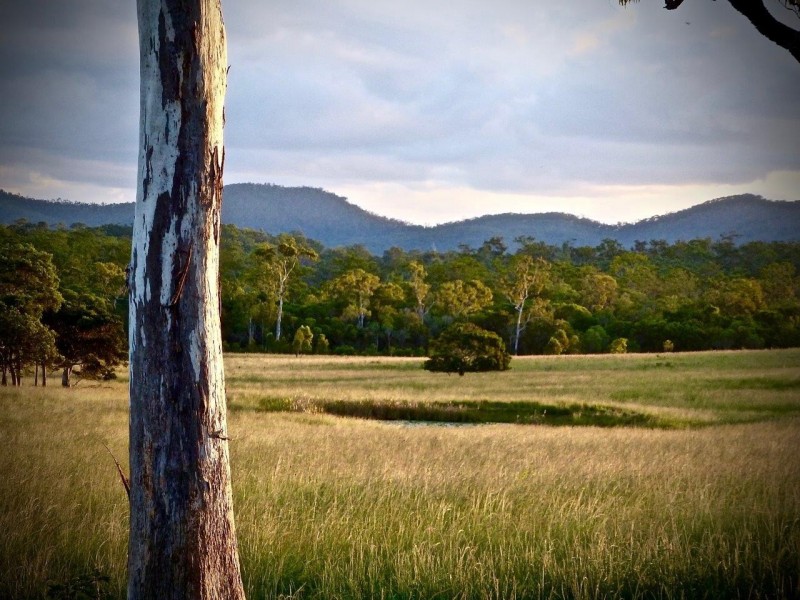 1078 Taunton Road, Taunton QLD 4674