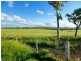 1078 Taunton Road, Taunton QLD 4674