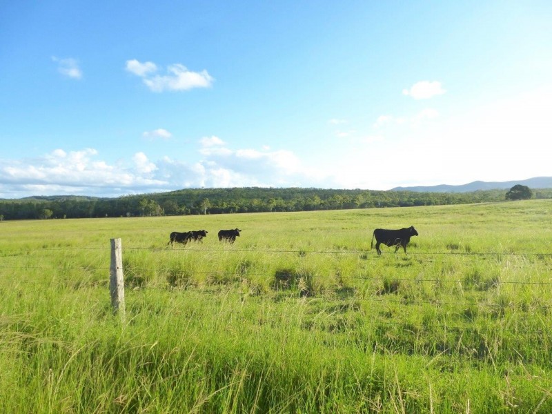 1078 Taunton Road, Taunton QLD 4674