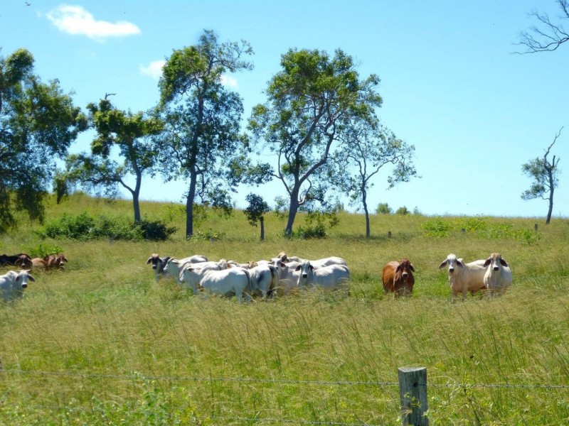 1078 Taunton Road, Taunton QLD 4674