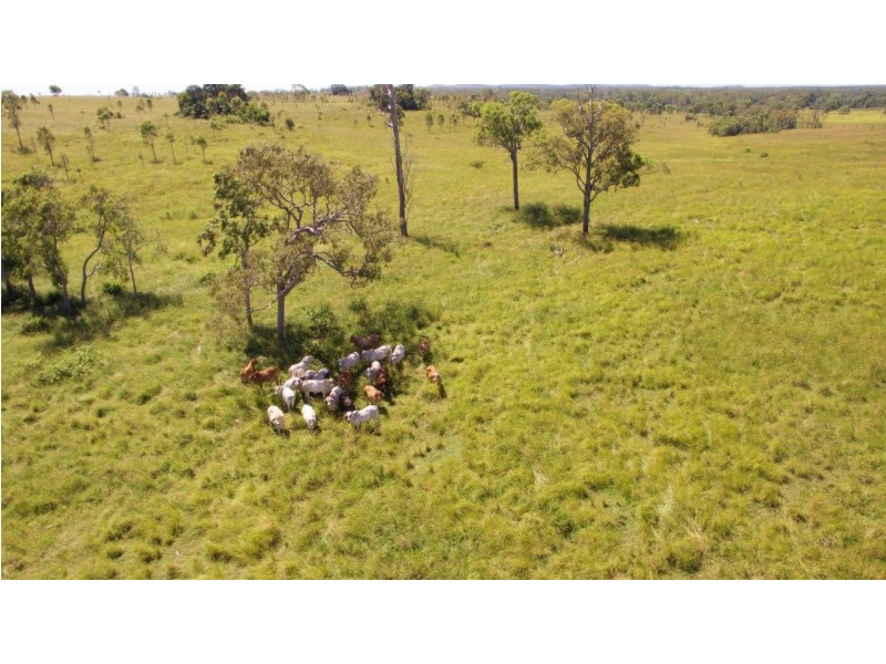 1078 Taunton Road, Taunton QLD 4674