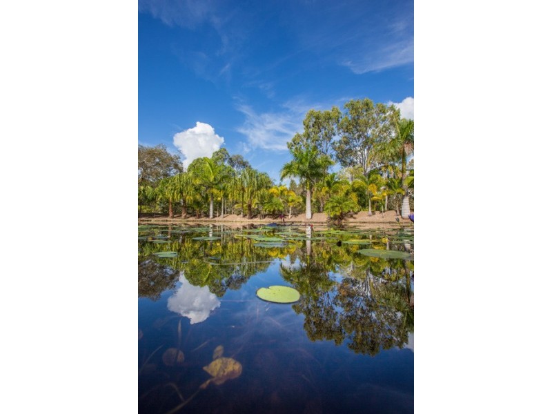 93 Mary Munro, Agnes Water QLD 4677