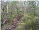 Lot 15 Dillon Road, Captain Creek QLD 4677
