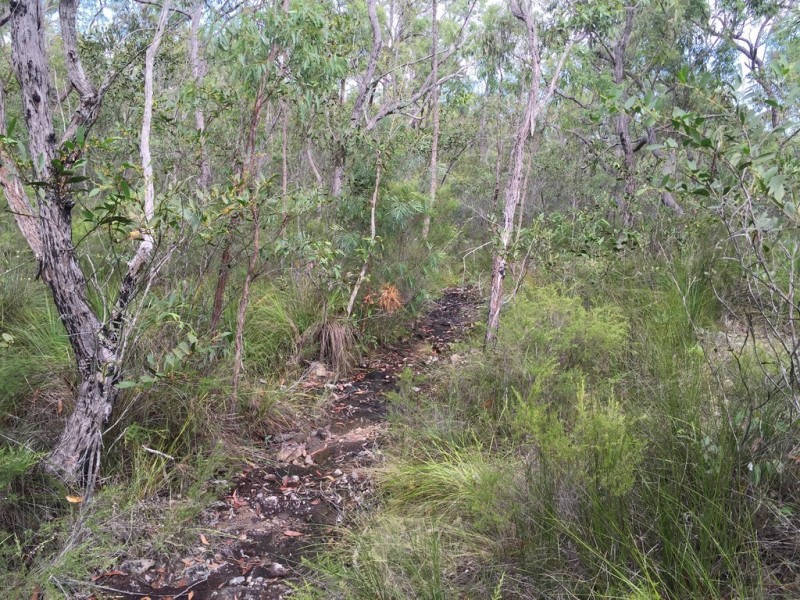 Lot 15 Dillon Road, Captain Creek QLD 4677