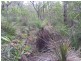 Lot 15 Dillon Road, Captain Creek QLD 4677