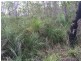 Lot 15 Dillon Road, Captain Creek QLD 4677