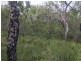 Lot 15 Dillon Road, Captain Creek QLD 4677
