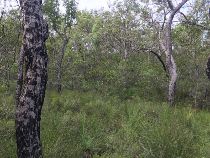 Lot 15 Dillon Road, Captain Creek QLD 4677