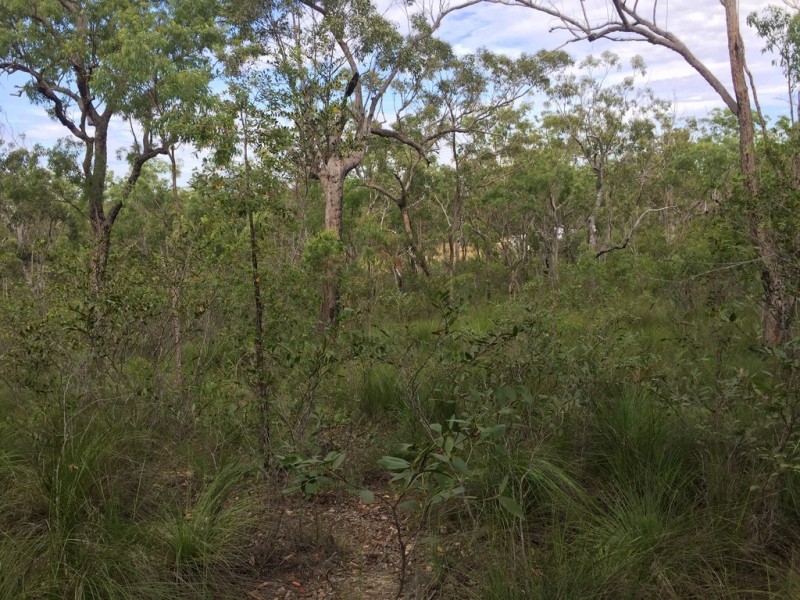 Lot 15 Dillon Road, Captain Creek QLD 4677