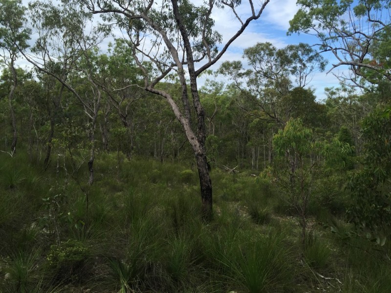Lot 15 Dillon Road, Captain Creek QLD 4677