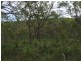 Lot 15 Dillon Road, Captain Creek QLD 4677