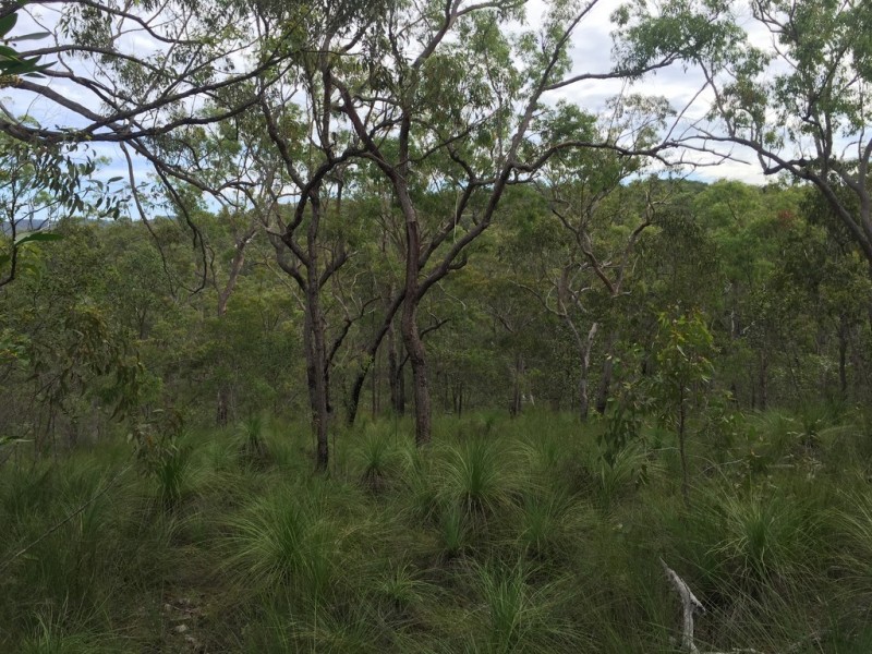 Lot 15 Dillon Road, Captain Creek QLD 4677