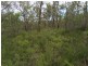 Lot 15 Dillon Road, Captain Creek QLD 4677