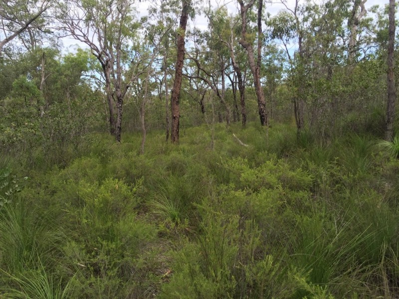 Lot 15 Dillon Road, Captain Creek QLD 4677