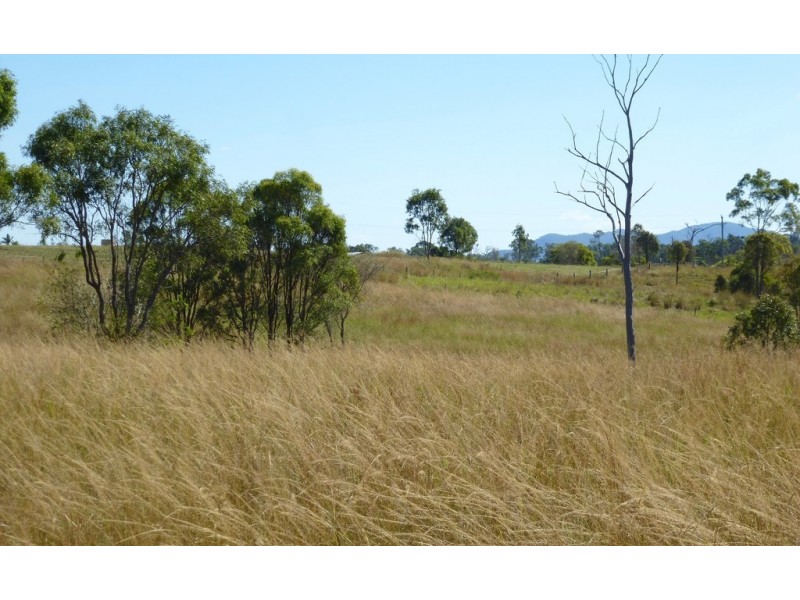 20 Lloyd Jones Road, Rosedale QLD 4674