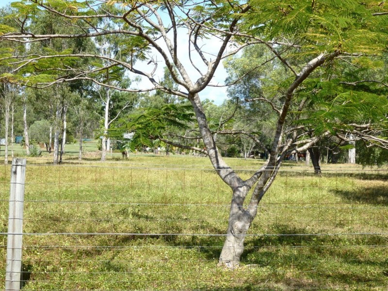 75 Messmate Drive, Miriam Vale QLD 4677