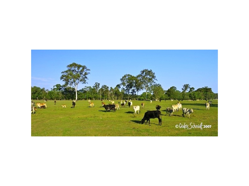 L60 Maroolingar Road, Captain Creek QLD 4677