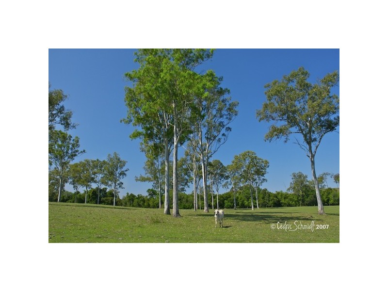 L60 Maroolingar Road, Captain Creek QLD 4677