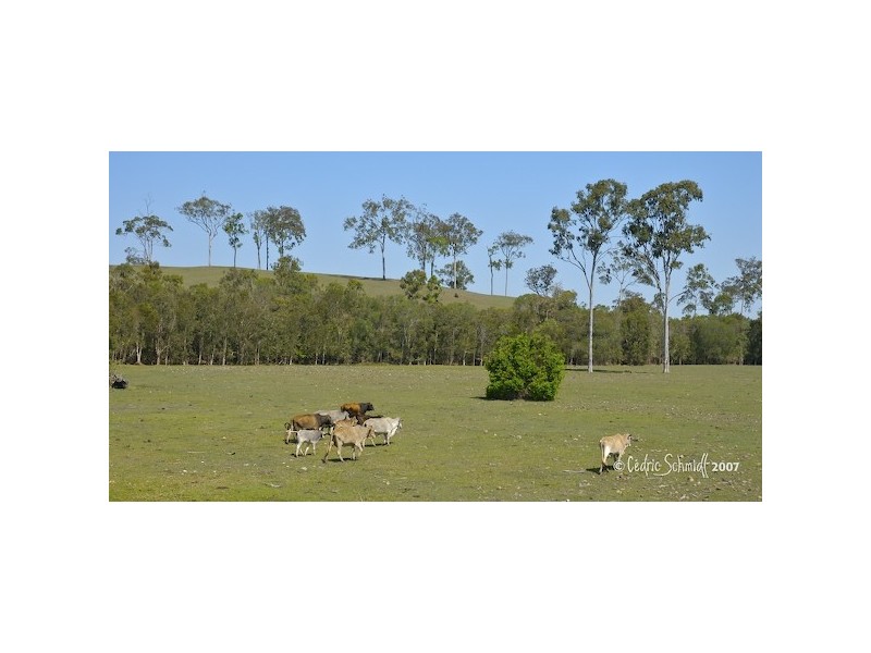 L60 Maroolingar Road, Captain Creek QLD 4677