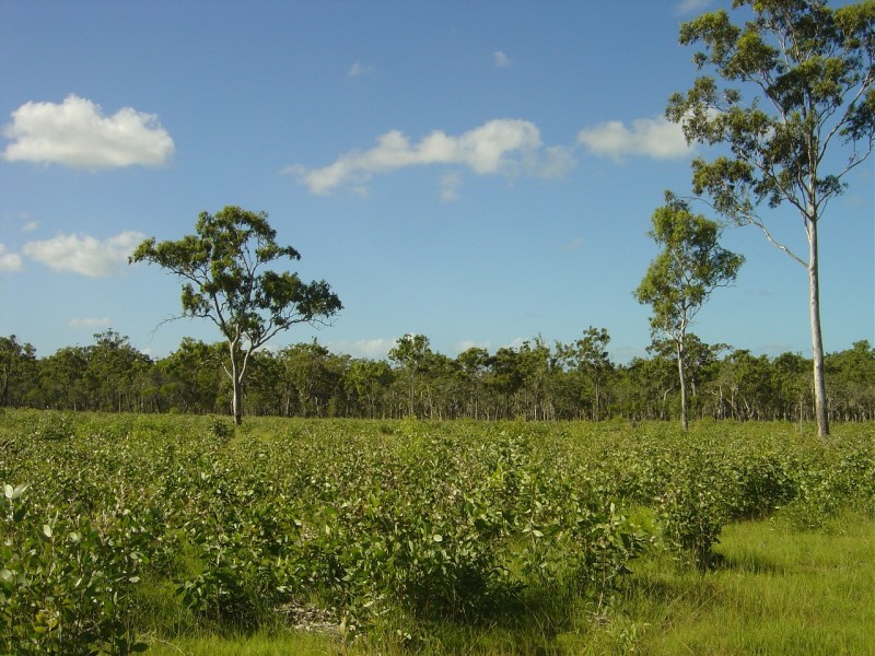 L60 Maroolingar Road, Captain Creek QLD 4677