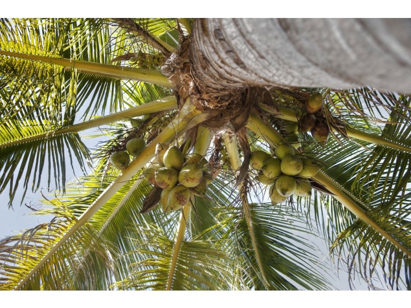 5 Beach Houses Estate Rd, Agnes Water QLD 4677