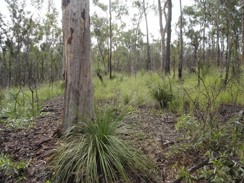 Lot 25 Tableland Road, Mount Maria QLD 4674