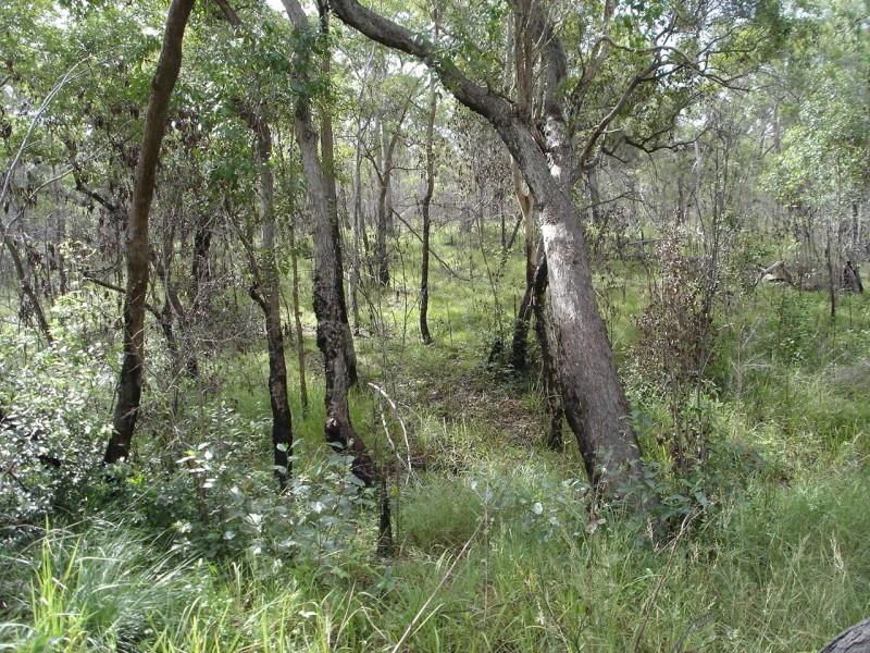 Lot 25 Tableland Road, Mount Maria QLD 4674
