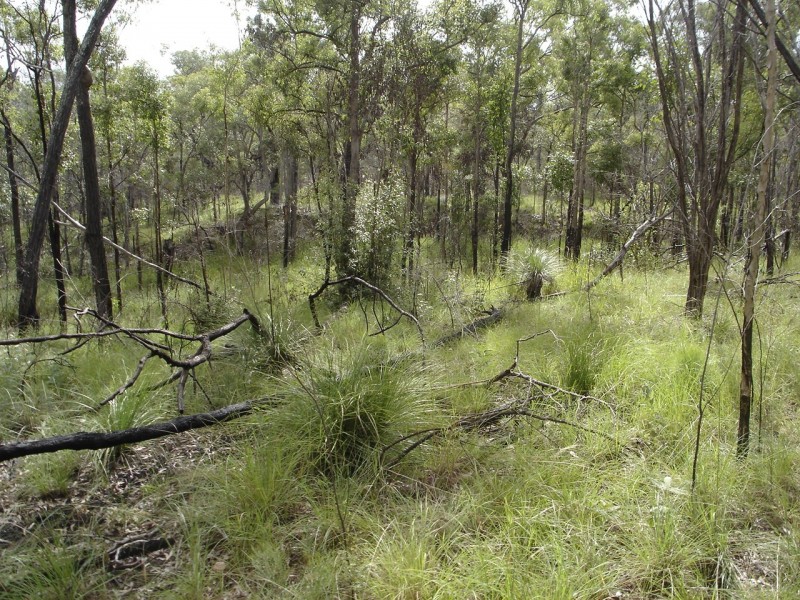 Lot 25 Tableland Road, Mount Maria QLD 4674
